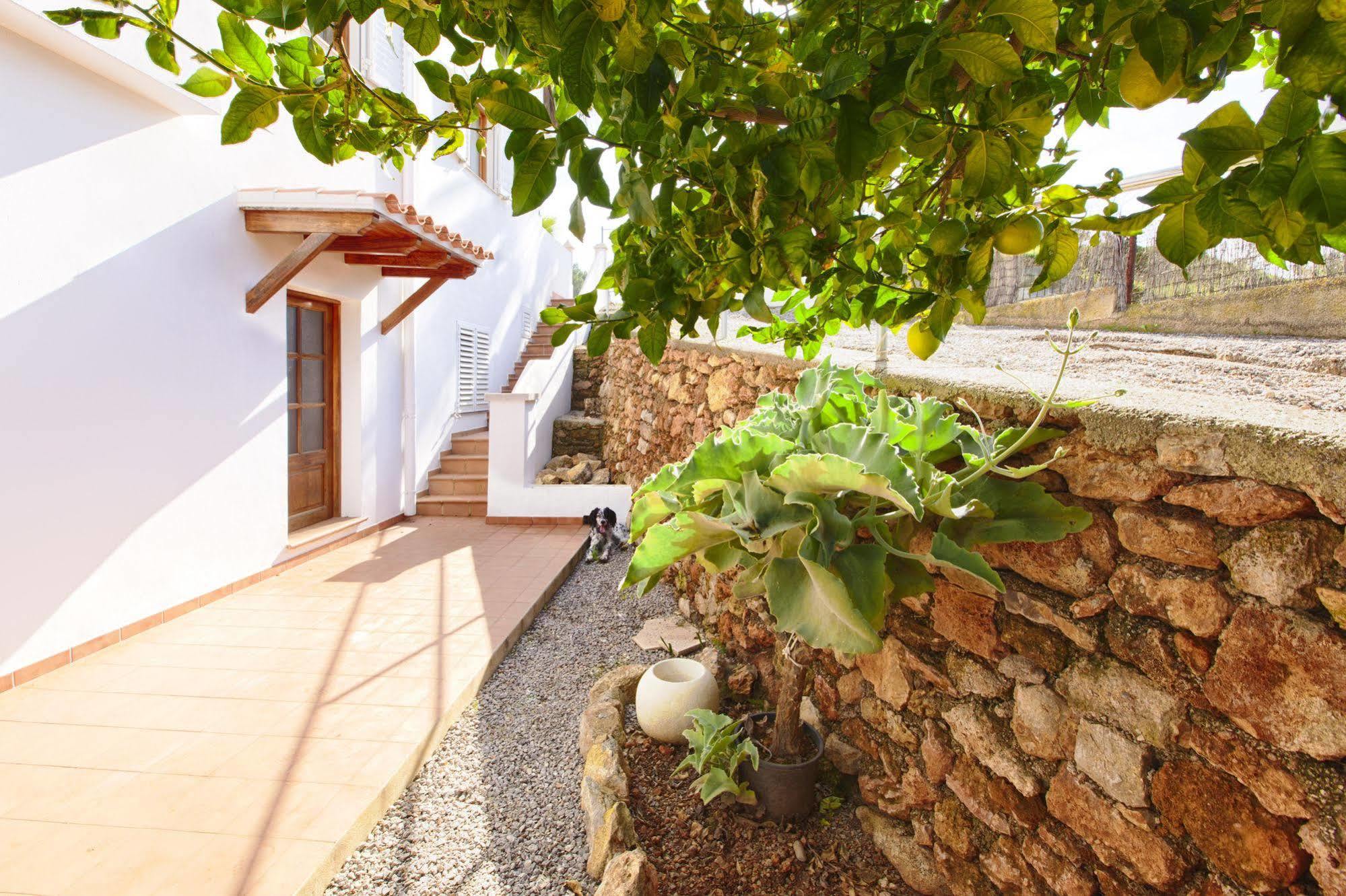 Apartamentos Colomar Santa Eularia des Riu Bagian luar foto